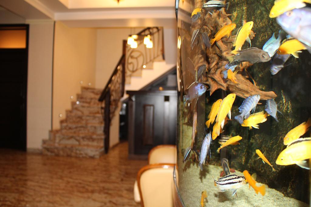 Hotel Anna Junior Zsilvásárhely Kültér fotó